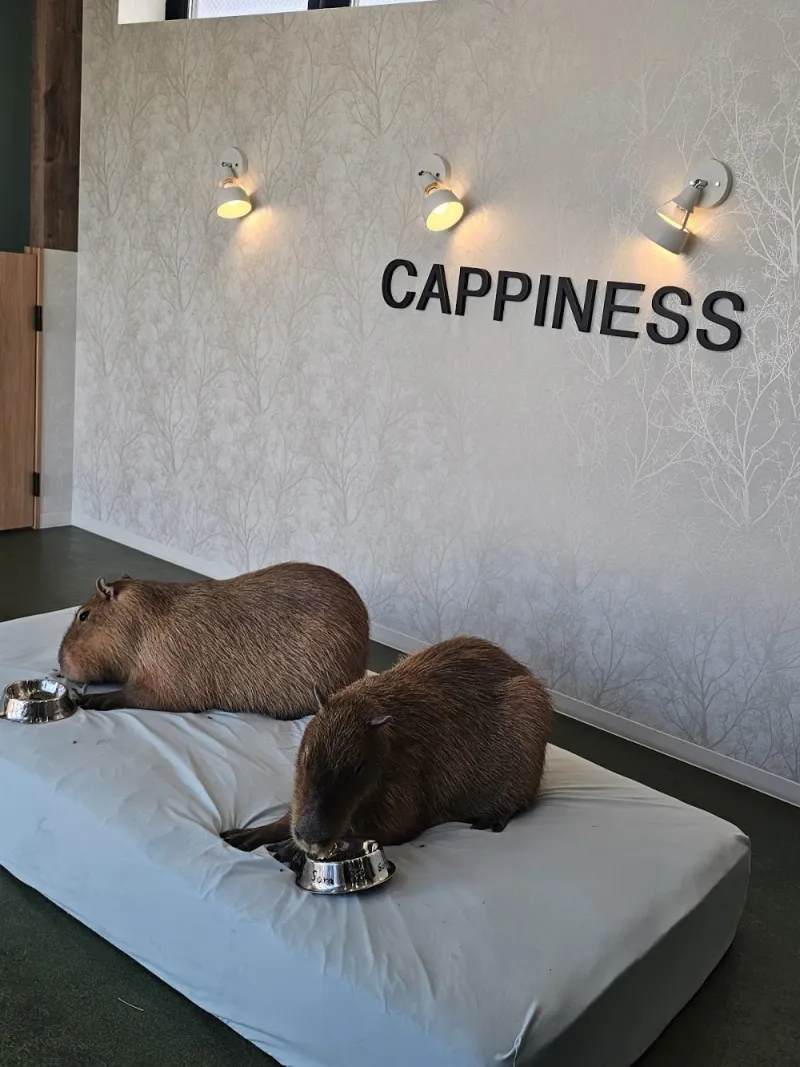 Photo by 아롬 from their Google review