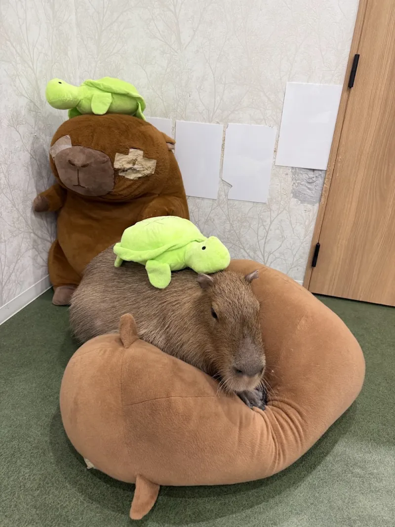 Photo by Артём Петровский from their Google review